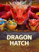 Dragon Hatch banner