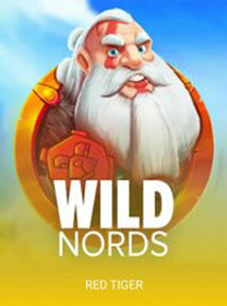 Wild Nords Slot Terbaru 2026: RTP dan Max Win banner